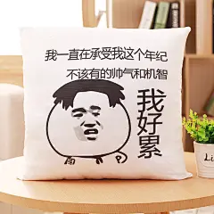 批发金馆长滑稽暴恶搞走漫画搞笑表情包装逼抱枕可定制 一件代发