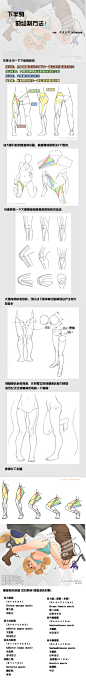下肢的绘法研究（肌肉）.jpg_微盘下载