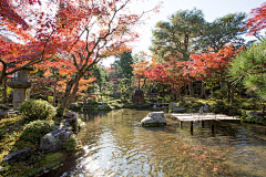 柏轩空间设计采集到A--杂木庭院