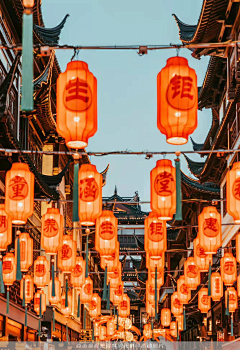 红红红蔷薇采集到中国风素材参考