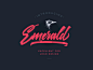 Emerald Script Font 优秀的基于手写的字体设计