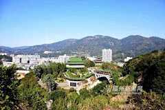 望回惜采集到绿道公园
