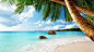 General 1366x768 Seychelles beaches sand palm trees sea paradise island tropical summer exotic landscapes clouds