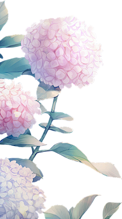 Miyinsisi采集到花