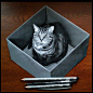 盒子里的猫立体画