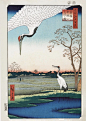 
HIROSHIGE 安藤广重
Taschen出版礼盒装饰挂画

礼盒里精选16件安藤的浮世绘作品，只需配以木框，就可以挂在家中。
...展开全文c