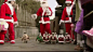 为迎接圣诞节，韩国一家动物园给企鹅们穿上了圣诞节服装，让它们在园里游行，接受游客拍照，一摇一摆的简直萌哭了！