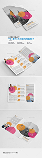 Corporate Tri-Fold Brochure Template PSD