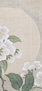 中秋应景的图
提前发出
拍自故宫博物院“万紫千红——中国古代花木题材文物展”
看到的各位都能花好月圆，没看到的也是 ​​​​