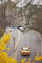 New York City

(Source: R2--D2, via mystic-revelations)