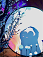 640_25.png