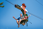 5 Things to Know About Zip Lining at the Zoo - Rhode Island Monthly