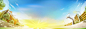 教育背景banner