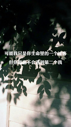 洛丽玛丝玫瑰采集到文字的感染