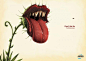 Rolling Stones | Aspen Classic | Kausa Centracreativa