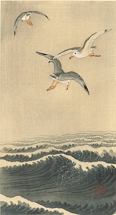 JimmyMic采集到地产