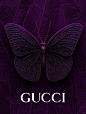 GUCCI·蝴蝶 - 小红书