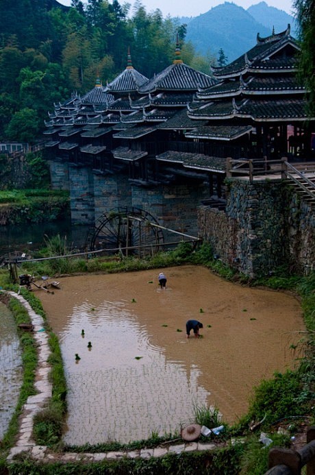  艳说林溪风雨桥，桥长廿丈四寻高。重瓴联...