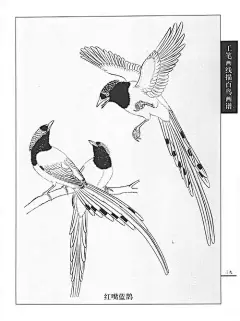 工笔画鸟_百度图片搜索