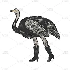 动物,雕刻图像,鸵鸟,靴子,球座,翅膀,鸟类,艺术品,复古,绘制