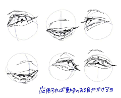 BLU蓝星采集到教程