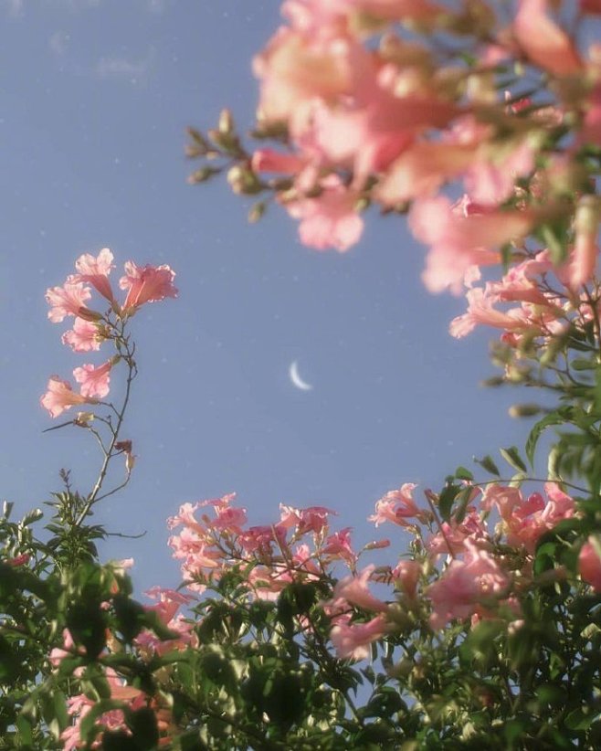 “总有一粼星芒，可以治愈你所有悲伤。”