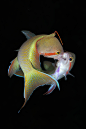 (5) Tumblr