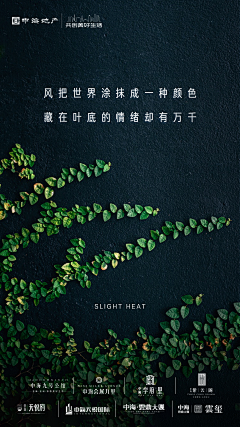 東南西北GY采集到中海地产