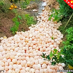 我必爆量采集到玄幻-神兽小孩-怪石