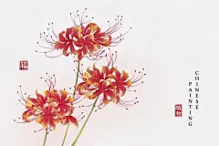 中国风石蒜彼岸花插画矢量图设计素材
