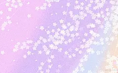 花花绿绿的桌面壁纸