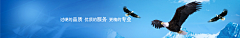 HUA姑娘采集到内页banner