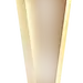 奖杯插图
