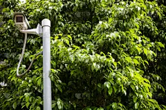 在下面,派克大街,中央电视台,天空,公园,水平画幅,监视器,户外,保险箱,树