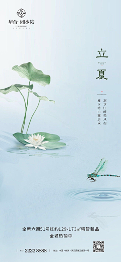 这猫不够圆~采集到节日海报