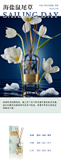 THEBEAST野兽派家居香薰花草精油散香器香氛扩香装饰结婚生日礼物-tmall.com天猫