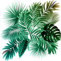a4cfa9a957432c42b9bbae56f1b3f8cf987b8d2bec5b6-pFykar_fw658
