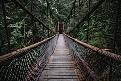 悬崖秋千之称山林里的吊桥