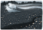 Summer solstice celebrations in Latvia : Personal project briefly based on Latvian summer solstice celebration traditions