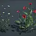 Poppies and Daisies - UE5 Lumen