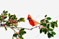鸟类动物静止树枝橙绿 免费下载 页面网页 平面电商 创意素材