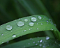 raindrops by angelameds-photos on deviantART