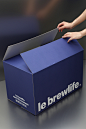 le brewlife VISUAL IDENTITY AND PACKAGING