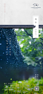 雨水