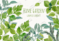 PN0011#手绘水彩树叶绿色 健康植物平铺底纹 纹理 PNG设计素材-淘宝网