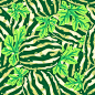 Watermelon seamless pattern vector design