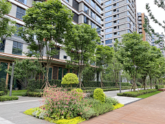 易丫头122200采集到03——植物设计