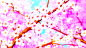 ◣最美那时樱花雨◥