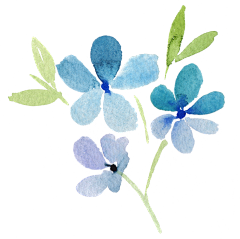 5FRLbLD9采集到草木