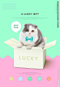 宠物店猫促销海报广告图片下载